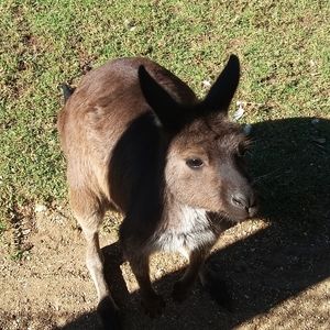 Meet your Posher, Michaela